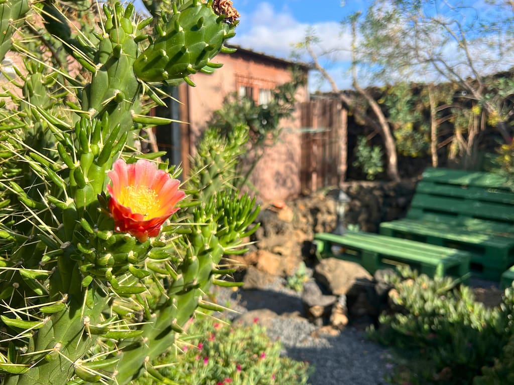 cabin accommodation lanzarote