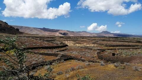 charco del palo, naturist, nudist, nature, hike, eco cabin charco del palo, naturist, nudist, nature, hike, eco cabin